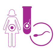 Successful pregnancy through IVF Egg Donation explanation