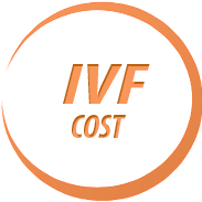 Cost of IVF+ICSI with Egg Donation IVF COSTS