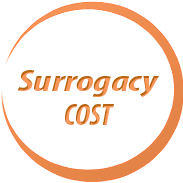 Cost of Surrogacy without Egg Donation SURROGACY COSTS